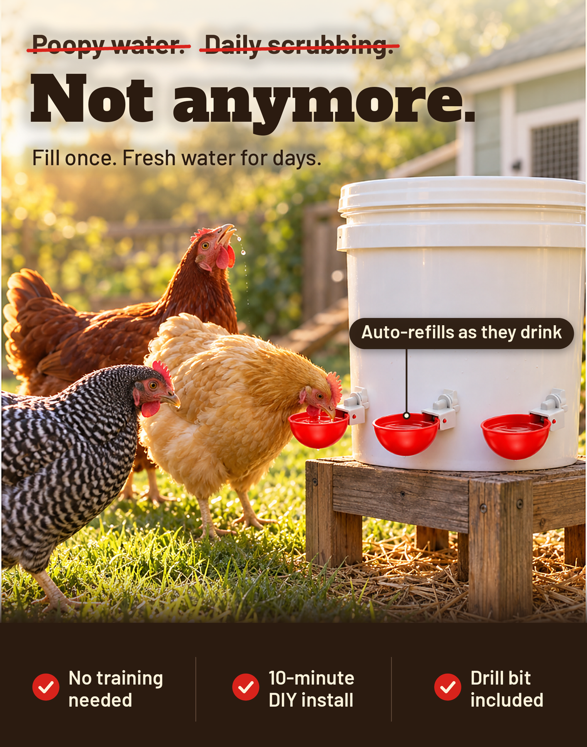 🐔 Automatic Chicken Waterer Cups 💧 Clean Water That Refills Itself – DIY Bucket Kit, Drill Bit Included