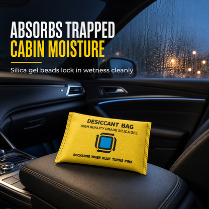 🎃Halloween Deal 50% OFF!  Reusable Silica Gel Car Dehumidifier Bag